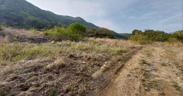 충청남도 공주시 사곡면 가교리 584 전 경매 물건 이미지