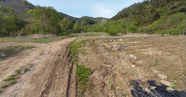 충청남도 공주시 사곡면 가교리 530-5 답 경매 물건 이미지