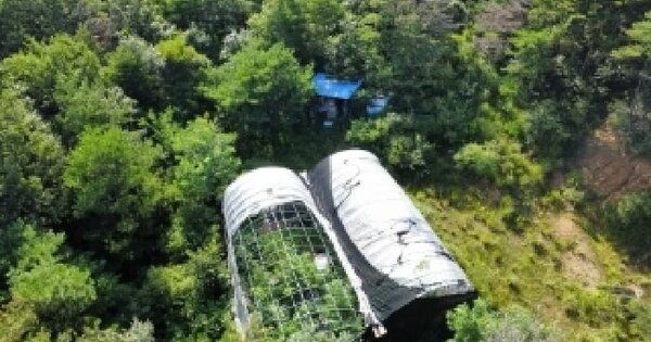 경상북도 포항시 북구 신광면 안덕리 산103 임야 경매 물건 이미지