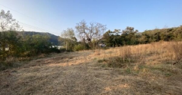 충청남도 당진시 합덕읍 도곡리 산110-7 임야 경매 물건 이미지