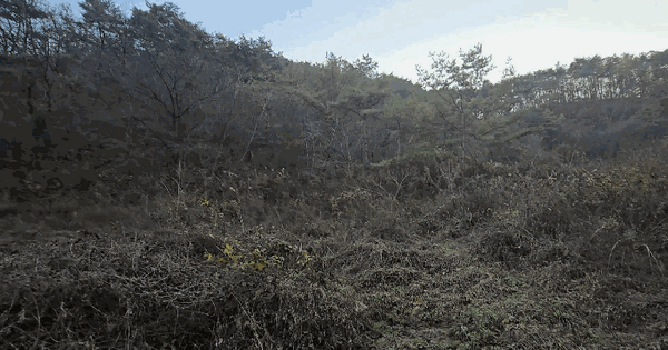 충청북도 제천시 봉양읍 명도리 104 전 경매 물건 이미지