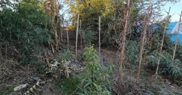 전북특별자치도 고창군 아산면 상갑리 109 대지 경매 물건 이미지