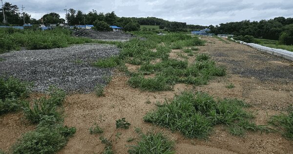 충청남도 당진시 송악읍 중흥리 613-2 전 경매 물건 이미지
