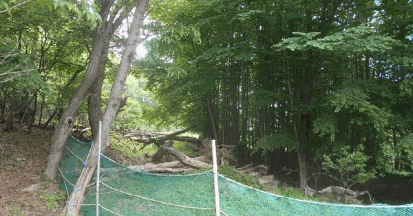 경기도 남양주시 별내면 용암리 95 전 경매 물건 이미지