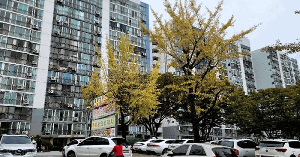 광주광역시 북구 문흥동 787-1 제106동 제15층 제1503호 아파트 경매 물건 이미지