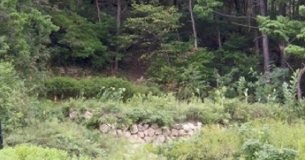경상북도 의성군 단밀면 생송리 산230 임야 경매 물건 이미지