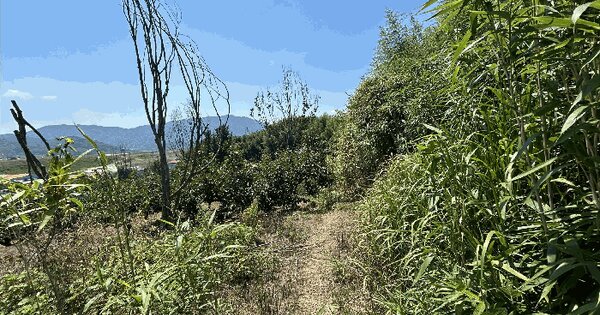 경상남도 김해시 진영읍 하계리 328-2 전 경매 물건 이미지
