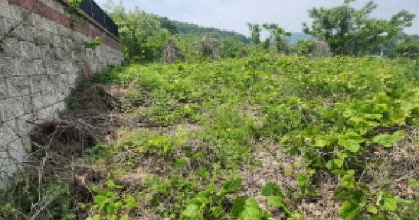 인천광역시 강화군 삼산면 석모리 825-11 전 경매 물건 이미지