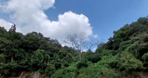 충청남도 서산시 지곡면 환성리 846-16 임야 경매 물건 이미지