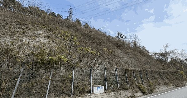 전라남도 영암군 삼호읍 삼포리 산96 임야 경매 물건 이미지