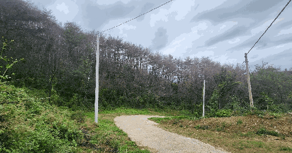 경상북도 영덕군 영덕읍 오보리 159-1 임야 경매 물건 이미지