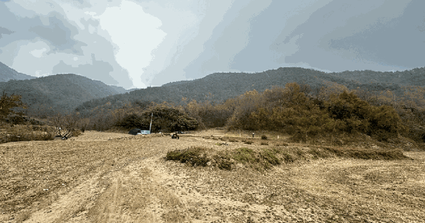 경상북도 울진군 온정면 외선미리 207-1 전 경매 물건 이미지