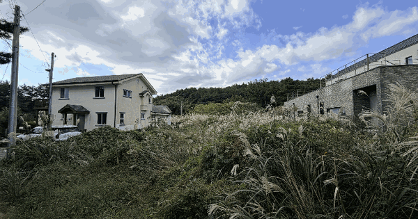 제주특별자치도 서귀포시 표선면 표선리 2265-21 전 경매 물건 이미지