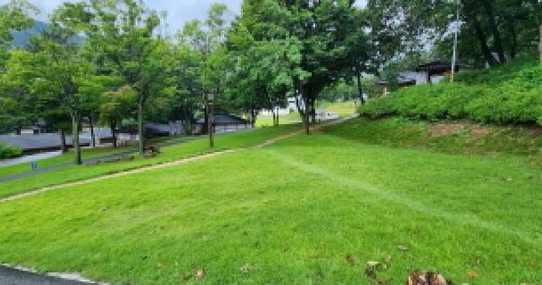 경기도 양주시 장흥면 석현리 203-7  대지 경매 물건 이미지