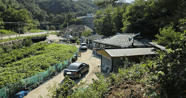 강원특별자치도 삼척시 원덕읍 옥원리 355-2 전 경매 물건 이미지