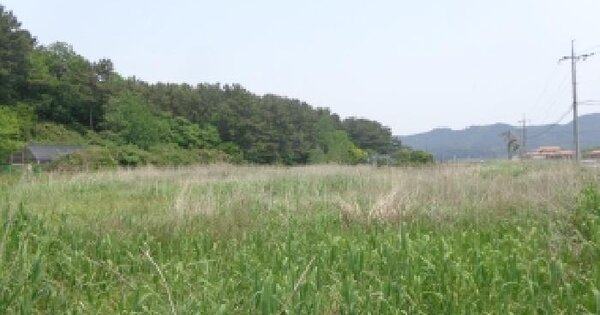 충청남도 태안군 근흥면 정죽리 852 답 경매 물건 이미지