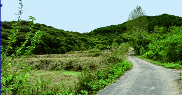충청남도 부여군 옥산면 수암리 345-1 답 경매 물건 이미지