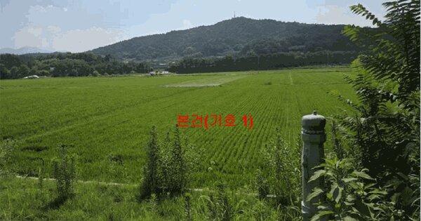 경상남도 함양군 지곡면 공배리 190-5 답 경매 물건 이미지