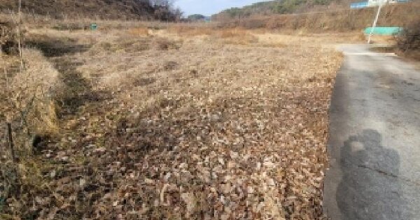 경상남도 함안군 군북면 유현리 128 답 경매 물건 이미지
