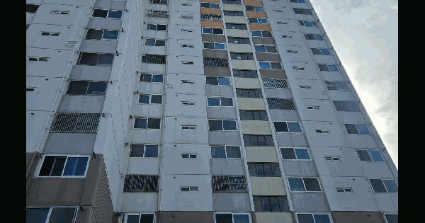 부산광역시 사하구 괴정동 352-34 벽산하이츠 1동 8층801호 아파트 경매 물건 이미지