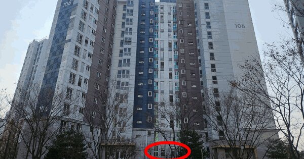 경기도 평택시 동삭동 715-1 서재자이아파트 106동 2층204호 아파트 경매 물건 이미지