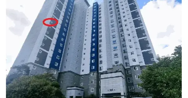 부산광역시 기장군 정관읍 모전리 728 동일스위트3차 304동 11층1101호 아파트 경매 물건 이미지