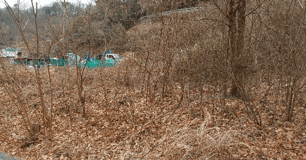 경상남도 창원시 의창구 북면 무동리 109-6 대지 경매 물건 이미지