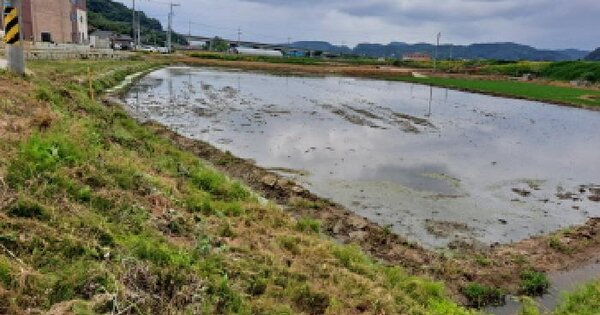 충청남도 당진시 채운동 923 답 경매 물건 이미지