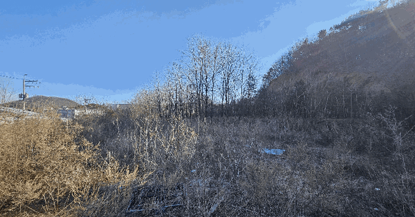 경기도 고양시 일산동구 식사동 724-14 임야 경매 물건 이미지