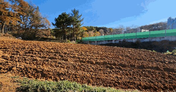 충청남도 보령시 청소면 신송리 108-7 전 경매 물건 이미지
