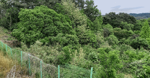 충청남도 서천군 기산면 화산리 182 전 경매 물건 이미지