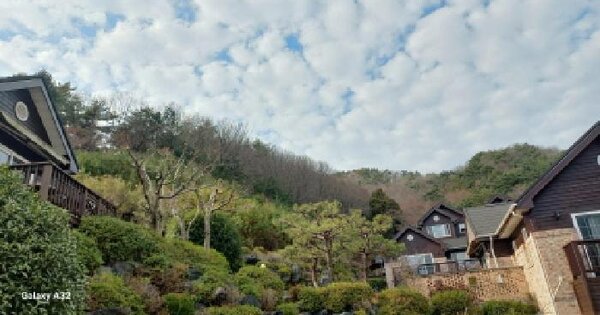 경상남도 거제시 덕포동 산179 임야 경매 물건 이미지
