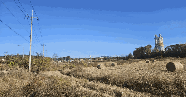 전북특별자치도 익산시 왕궁면 동촌리 157 답 경매 물건 이미지