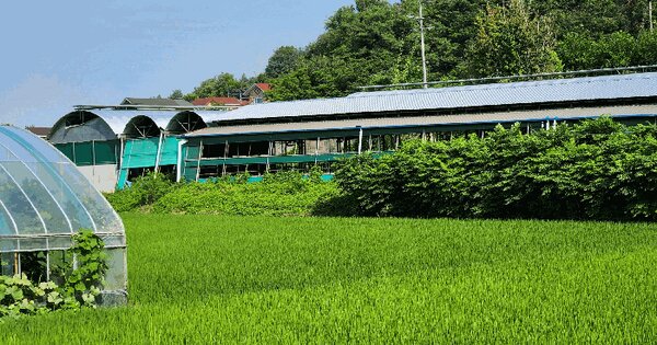 경기도 평택시 현덕면 덕목리 153 답 경매 물건 이미지