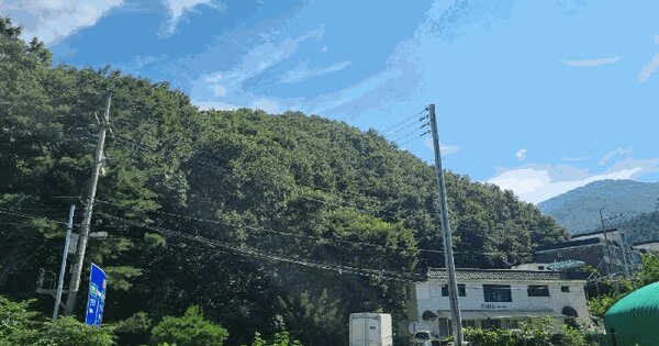 경기도 광주시 퇴촌면 원당리 산10-1 임야 경매 물건 이미지