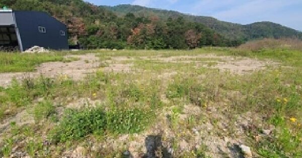 경상남도 김해시 생림면 생철리 245-2 임야 경매 물건 이미지