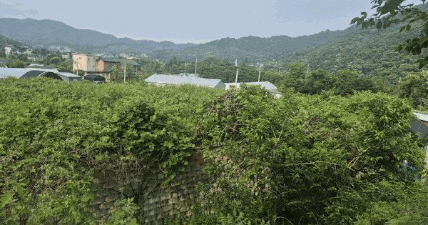 경기도 양평군 강하면 전수리 779 전 경매 물건 이미지