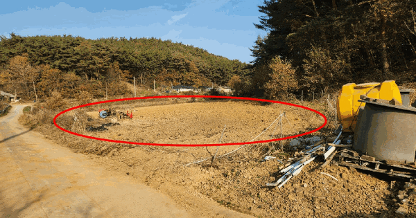 충청남도 태안군 고남면 장곡리 319-1 전 경매 물건 이미지