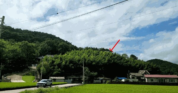 전라남도 담양군 고서면 금현리 133 전 경매 물건 이미지