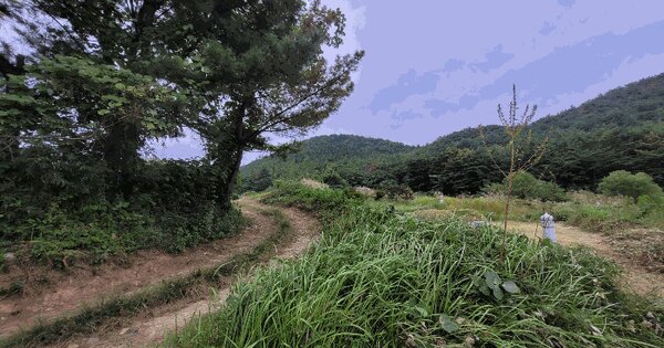경상북도 포항시 북구 청하면 유계리 58 전 경매 물건 이미지