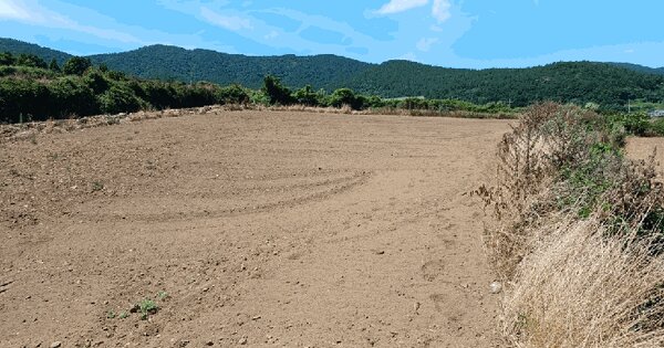 전라남도 완도군 청산면 동촌리 462 전 경매 물건 이미지