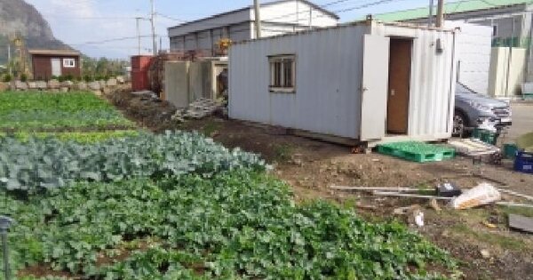제주특별자치도 서귀포시 안덕면 사계리 2267-5 대지 경매 물건 이미지