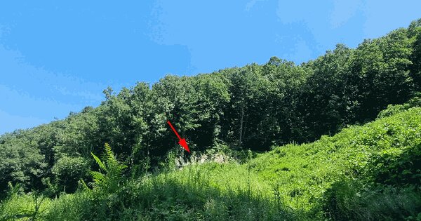 경기도 가평군 설악면 사룡리 산35-10 임야 경매 물건 이미지