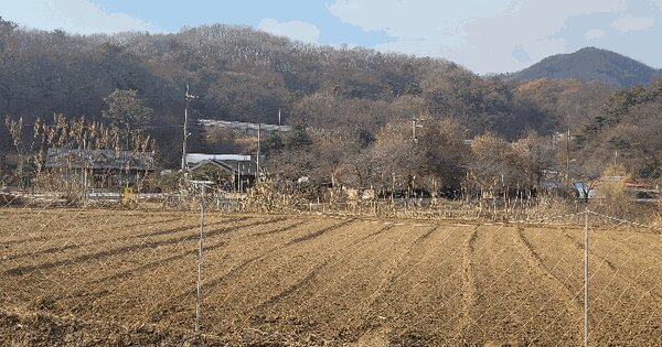 경기도 안성시 죽산면 용설리 산213-1 임야 경매 물건 이미지