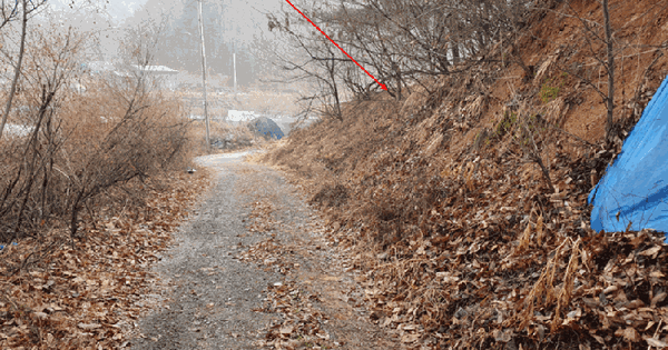 경기도 용인시 처인구 양지읍 주북리 산178-1 임야 경매 물건 이미지