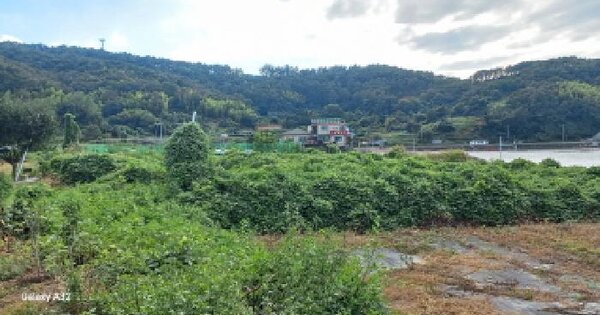 경상남도 거제시 하청면 석포리 340-1 답 경매 물건 이미지