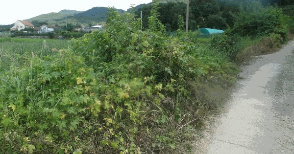 충청남도 논산시 연산면 신양리 108 답 경매 물건 이미지