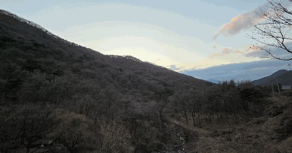 경상북도 칠곡군 석적읍 성곡리 산70 임야 경매 물건 이미지