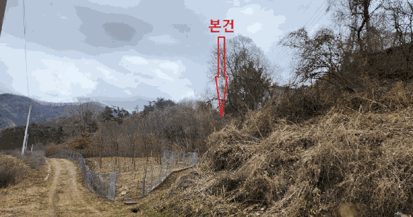 충청남도 천안시 동남구 병천면 봉항리 194-1 도로 경매 물건 이미지