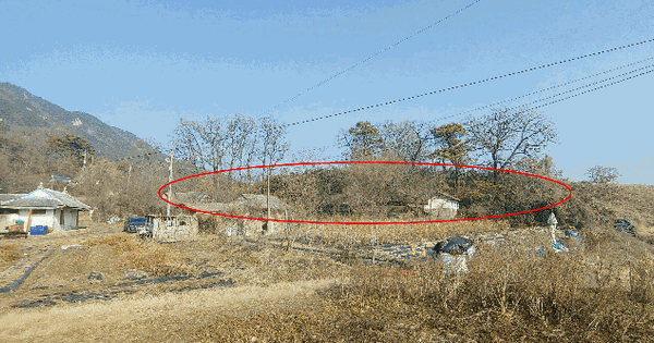 인천광역시 강화군 하점면 창후리 282-2  대지 경매 물건 이미지